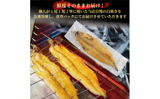 国産 うなぎ 白焼き 150g × 2尾 約300g タレ付  ( グルメ うなぎ 鰻 新鮮 たれ 土曜 丑の日 真空パック おすすめ 滋賀県 竜王 送料無料 )