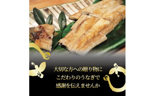 国産 うなぎ 白焼き 150g × 2尾 約300g タレ付  ( グルメ うなぎ 鰻 新鮮 たれ 土曜 丑の日 真空パック おすすめ 滋賀県 竜王 送料無料 )