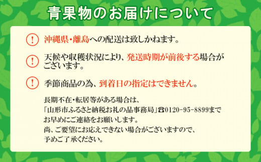 山形市産 ラ・フランス 特秀 5kg FY23-693