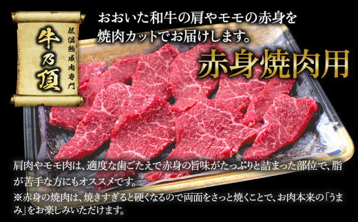 おおいた和牛 赤身 焼肉用 300g 牛肉 和牛 豊後牛 赤身肉 焼き肉 大分県産 九州産 津久見市 熨斗対応