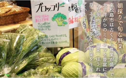 新鮮　季節の野菜　おまかせ詰め合わせセット　宮城県　東松島市　朝採り　野菜　産直