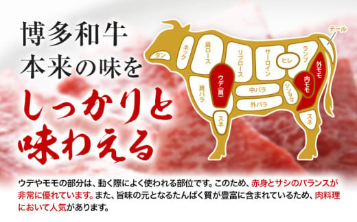 博多和牛モモ・ウデ焼肉用 200g × 2《60日以内に出荷予定(土日祝除く)》牛 牛肉 モモ ウデ 焼肉 和牛 博多 博多和牛 セット 富士商株式会社 送料無料