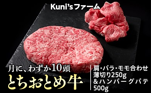 とちおとめ牛　肩・バラ・モモ合わせ薄切り250g＆ハンバーグパテ500gセット 牛肉 ハンバーグ