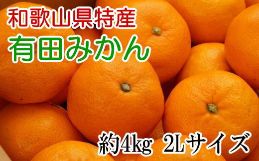 [秀品]和歌山有田みかん約4kg(2Lサイズ) ※2023年11月上旬～2024年1月下旬頃順次発送（お届け日指定不可） 【tec915】