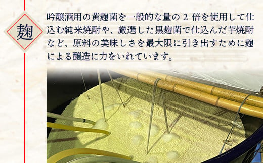 減圧球磨拳・常圧球磨拳 計 1.44L セット ＜ 各 25度 720ml ＞ 米焼酎 フルーティ な 味わい 多良木 黄麹菌 低温発酵 040-0111