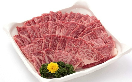 2カ月目は、丹波牛の焼肉用500g（3～4人前）をお届けします。