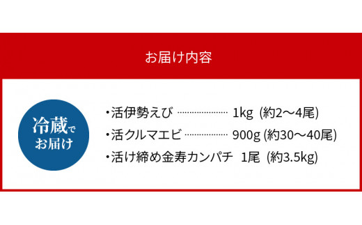 年末限定　延岡どれ海鮮3種セット　N0159-ZG004