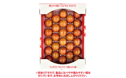 【先行予約・数量限定】【訳あり】スーパーフルーツトマト小箱約800g×1箱 【とまと フルーツトマト ブランドトマト 糖度9度以上 野菜 フレッシュ リコピン ビタミンE 野菜ソムリエ 茨城県】（LJ-3）