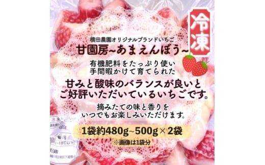 冷凍いちご「甘園房~あまえんぼう~」  約1kg(約500g×2袋)【1288303】