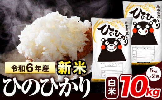 令和6年産 新米 早期先行予約受付中 ひのひかり 白米 10kg 《7-14営業日以内に出荷予定(土日祝除く)》 熊本県産 白米 精米 氷川町 ひの 送料無料 ヒノヒカリ コメ 便利 ブランド米 お米 おこめ 熊本 SDGs