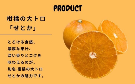 [2月発送] 濃厚! 果汁たっぷり薄皮ハウスせとか 約5kg(20個程度)　広島県 大崎上島町 瀬戸内 柑橘 果物 フルーツ 贈答 ギフト