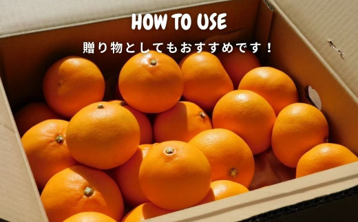 [2月発送] 濃厚! 果汁たっぷり薄皮ハウスせとか 約5kg(20個程度)　広島県 大崎上島町 瀬戸内 柑橘 果物 フルーツ 贈答 ギフト