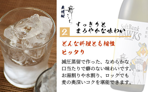  ホークスラベル　焼酎2本セット【芋焼酎　魔界への誘い＋麦焼酎　舞ここち】900ml×2本　C-119