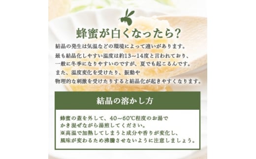 ＜ 数量限定 ＞国産 生はちみつ＜100%純粋＞日本みつばち＜非加熱・無添加の生蜂蜜＞ B3-16【1166524】