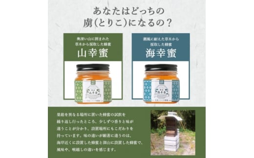 ＜ 数量限定 ＞国産 生はちみつ＜100%純粋＞日本みつばち＜非加熱・無添加の生蜂蜜＞ B3-16【1166524】