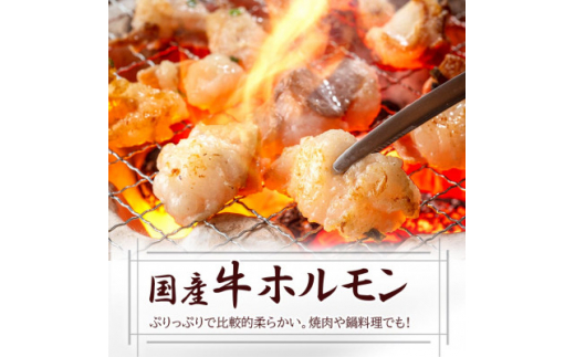 おためしバラエティー A0-19_ かつお 牛ホルモン 黒豚 ミンチ 小間切れ 豚肉 カツオのたたき 国産牛 鹿児島県 枕崎 セット 食べ比べ おすすめ 産直 お試し ゆず 冷凍 【1498564】