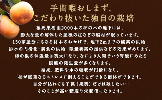 シンデレラ 太秋柿 化粧箱入り 大玉 6玉 約2kg