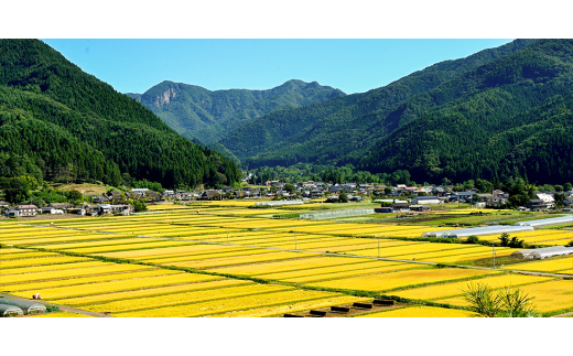 先行受付!＜令和6年度産＞　雪ほたか30kg　＜川場村産こしひかり＞【1329371】