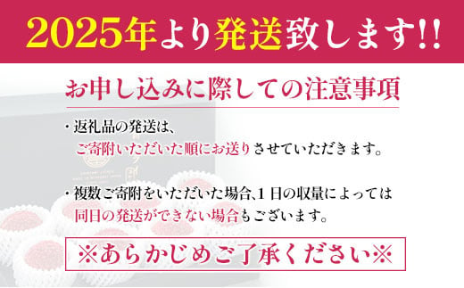 ［2025年発送］先行予約 希少！国産＜新富ライチpremium50＞50g以上×8玉 国産 ブランド フルーツ 果物 贈答品【C52-25】