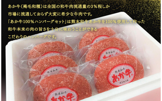 あか牛100％ハンバーグセット(あか牛ハンバーグ120g×6個、あか牛のたれ200ml付き)