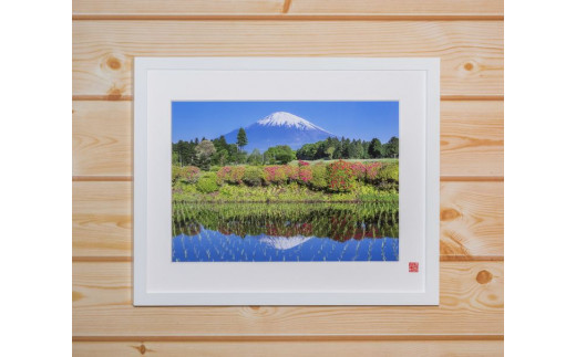 【秋】富士山を知り尽くしたカメラマンが撮った、御殿場からの富士山フォト