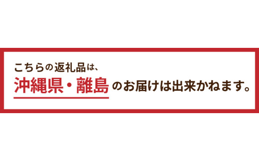 《期間限定》ブッシュ・ド・ノエル