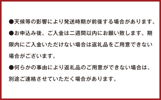 潮風をたっぷり受けた濃厚不知火 6～8玉 （ 約2kg ）