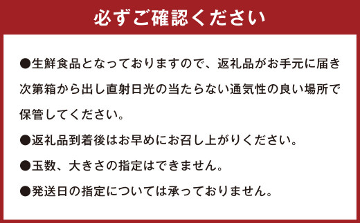 潮風をたっぷり受けた濃厚不知火 6～8玉 （ 約2kg ）