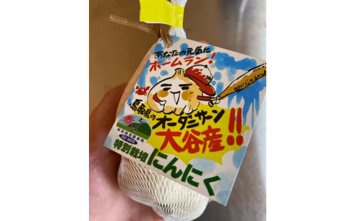 586．スイカ農家のフル～ティ黒にんにく 元気のたねこミックス◇｜自然食品 無添加 健康 疲労回復　鳥取県産 免疫力「鳥取県特別栽培農産物」認証の自社生産ホワイト六片とジャンボにんにくを使用
※着日指定不可
※2024年7月中旬～2025年2月下旬頃に順次発送予定