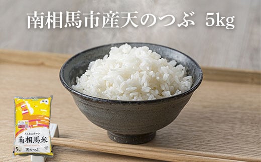 【令和6年産】南相馬市産「天のつぶ」５kg　ふくしま未来農協