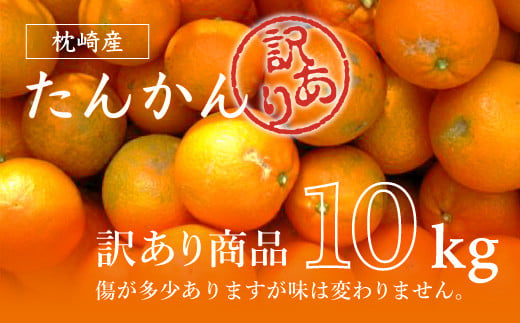 ＜訳あり＞南国特産もぎたてフルーツ たんかん10kg＜先行受付＞2月下旬より順次発送 A6-13【1466329】