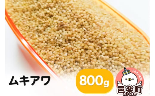 ムキアワ 800g×1袋 サイトウ・コーポレーション 飼料