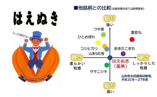 《定期便6回》 はえぬき (精米) 10kg×6か月 『田口農園』 山形南陽産 米 白米 ご飯 農家直送 山形県 南陽市 [1126]