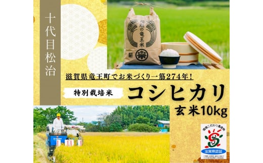  【 新米予約 】 コシヒカリ 玄米 10kg 縁起の竜王米  ( 令和6年産 先行予約 新米 玄米 10kg おこめ ごはん 米 特別栽培米 ブランド米 ライス こだわり米 ギフト 国産 滋賀県竜王町 )