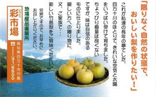 【※ご好評につき、令和5年度は終了いたしました】　23-559．【期間限定・数量限定】彩市場の竹島梨3kg（6～7個程度）【2023年8月上旬～9月上旬発送】