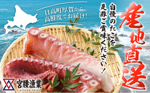 ハーフボイルタコ 1kg 【北海道産】