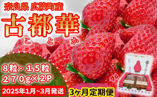 【数量限定】【先行予約】【3か月定期便】苺のごほうび【古都華】270g×2パック  2025年1月開始///いちご イチゴ 古都華  旬 果物 フルーツ 農家 直送 甘い 完熟 季節 冬 奈良 奈良県