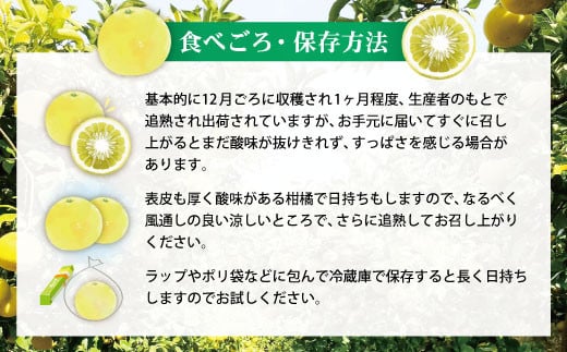 【訳あり】土佐文旦 家庭用(M～5L混合サイズ)約10kg【土佐グルメ市場(土佐市)厳選】