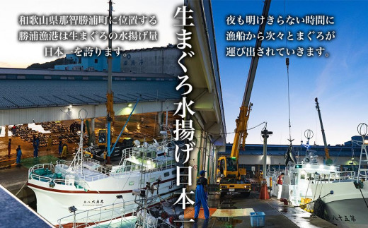 【訳あり】丼にぴったり！那智勝浦町水揚げびんちょうマグロのぶつ切り（5パック）【不揃い】（計1.5kg）