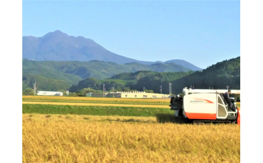 無洗米 令和6年産 まっしぐら 10kg (5kg×2袋) 米 白米 こめ お米 おこめ コメ ご飯 ごはん 令和6年 山下農園 青森 青森県