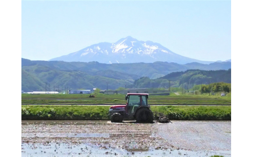 無洗米 令和6年産 まっしぐら 10kg (5kg×2袋) 米 白米 こめ お米 おこめ コメ ご飯 ごはん 令和6年 山下農園 青森 青森県