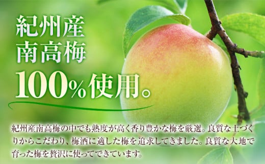 THE CHOYA 大地の梅 700ml × 2本 羽曳野商工振興株式会社《60日以内に出荷予定(土日祝除く)》大阪府 羽曳野市 送料無料 梅酒 梅 酒 CHOYA チョーヤ チョーヤ梅酒 お酒 本格梅酒 オーガニック