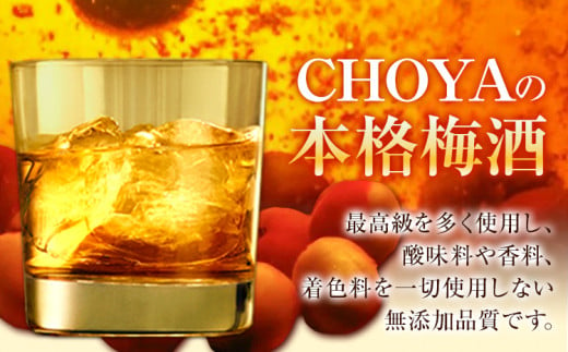 THE CHOYA 大地の梅 700ml × 2本 羽曳野商工振興株式会社《60日以内に出荷予定(土日祝除く)》大阪府 羽曳野市 送料無料 梅酒 梅 酒 CHOYA チョーヤ チョーヤ梅酒 お酒 本格梅酒 オーガニック