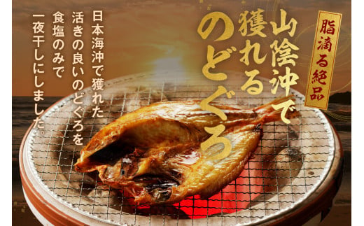 【お歳暮】【年内配送】山陰浜田 香住屋のこだわり干物「大きめのどぐろ一夜干し」（3～4尾） 魚介類 のどぐろ 一夜干し 干物 アカムツ のどくろ セット ギフト 贈り物 【658】