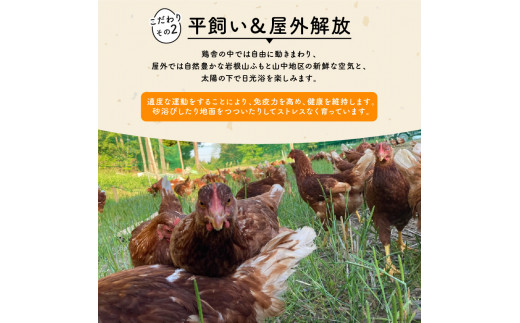 期間限定 初卵 平飼い有精卵 20個   ( 数量限定 滋賀竜王卵 新鮮 平飼い 卵 純国産 鶏もみじ 大人気 たまご 鶏卵 卵黄 エッグ 希少 たまごかけ ご飯 玉子 タマゴ 卵玉子焼き すき焼き 鶏 ケーキ 産地直送 送料無料 国産 滋賀県 竜王町 ふるさと納税 )