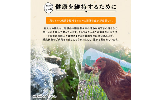 期間限定 初卵 平飼い有精卵 20個   ( 数量限定 滋賀竜王卵 新鮮 平飼い 卵 純国産 鶏もみじ 大人気 たまご 鶏卵 卵黄 エッグ 希少 たまごかけ ご飯 玉子 タマゴ 卵玉子焼き すき焼き 鶏 ケーキ 産地直送 送料無料 国産 滋賀県 竜王町 ふるさと納税 )