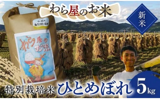 【令和6年産 新米 先行予約】 【わら屋のお米】 特別栽培米 ひとめぼれ 5kg 《令和6年10月下旬～発送》 『おがわ藁農園』 米 白米 精米 ご飯 農家直送 山形県 南陽市  [2070-R6]