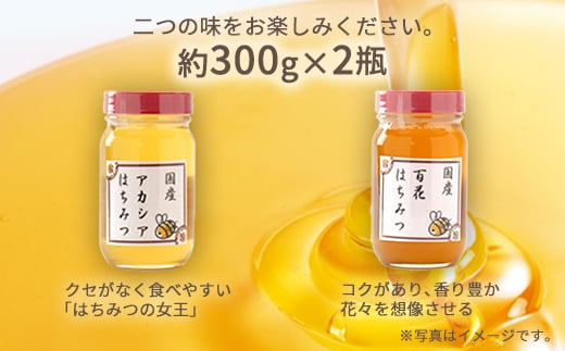 No.294 アカシア・百花はちみつ　各約300g×2個（合計600g） ／ 蜂蜜 ハチミツ 埼玉県 特産