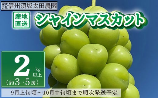 [No.5657-2626]産地直送 シャインマスカット2kg以上 (約3～5房) 《株式会社 信州須坂太田農園》■2024年発送■※9月上旬頃～10月中旬頃まで順次発送予定