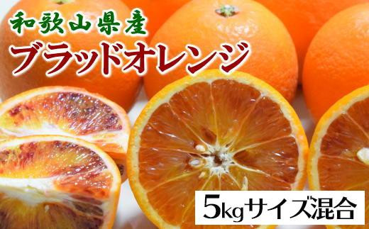 【希少・高級柑橘】国産濃厚ブラッドオレンジ「タロッコ種」約5kg★2025年4月頃より順次発送予定【TM149】